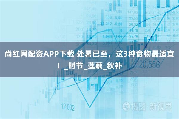 尚红网配资APP下载 处暑已至，这3种食物最适宜！_时节_莲藕_秋补