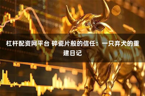 杠杆配资网平台 碎瓷片般的信任：一只弃犬的重建日记