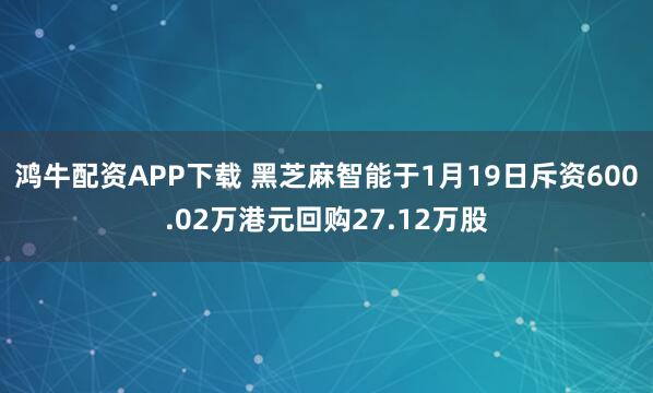 鸿牛配资APP下载 黑芝麻智能于1月19日斥资600.02万港元回购27.12万股
