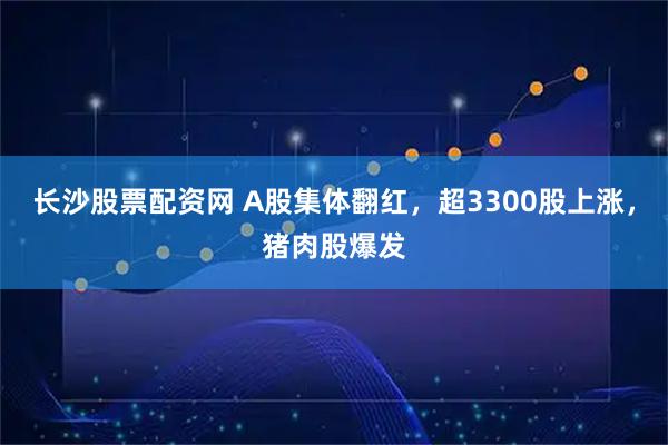 长沙股票配资网 A股集体翻红，超3300股上涨，猪肉股爆发